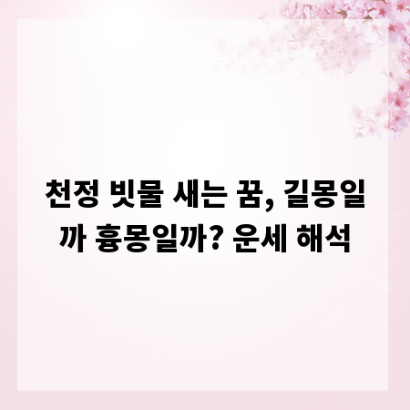천정 빗물 새는 꿈, 길몽일까 흉몽일까? 운세 해석