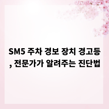 SM5 주차 경보 장치 경고등, 전문가가 알려주는 진단법