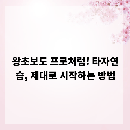 왕초보도 프로처럼! 타자연습, 제대로 시작하는 방법