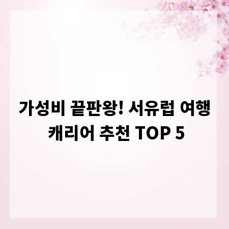 가성비 끝판왕! 서유럽 여행 캐리어 추천 TOP 5