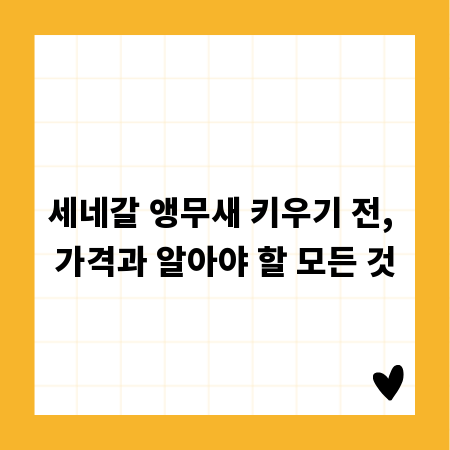 세네갈 앵무새 키우기 전, 가격과 알아야 할 모든 것