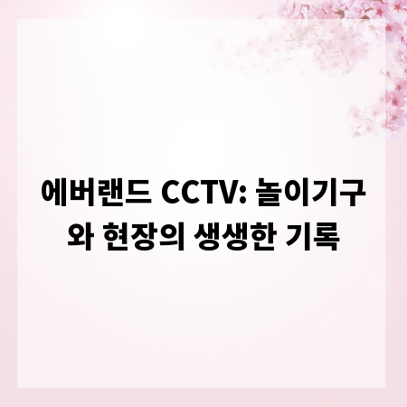 에버랜드 CCTV: 놀이기구와 현장의 생생한 기록