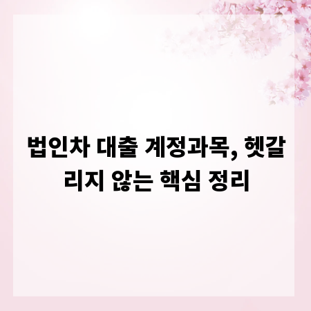 법인차 대출 계정과목, 헷갈리지 않는 핵심 정리