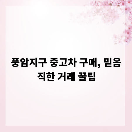 풍암지구 중고차 구매, 믿음직한 거래 꿀팁