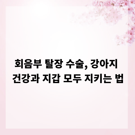회음부 탈장 수술, 강아지 건강과 지갑 모두 지키는 법