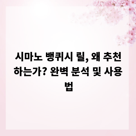 시마노 뱅퀴시 릴, 왜 추천하는가? 완벽 분석 및 사용법