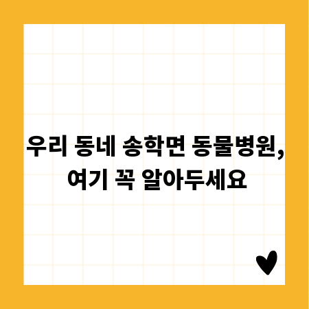 우리 동네 송학면 동물병원, 여기 꼭 알아두세요