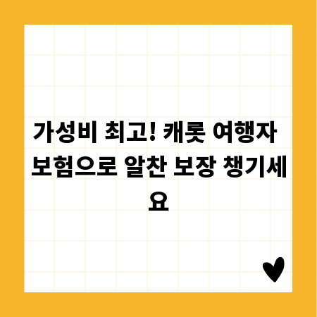 가성비 최고! 캐롯 여행자 보험으로 알찬 보장 챙기세요