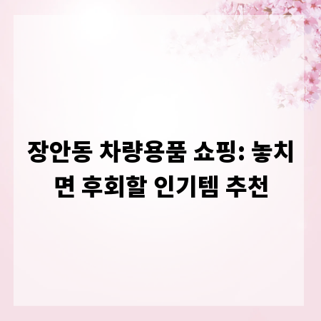 장안동 차량용품 쇼핑: 놓치면 후회할 인기템 추천
