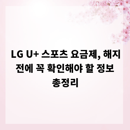 LG U+ 스포츠 요금제, 해지 전에 꼭 확인해야 할 정보 총정리