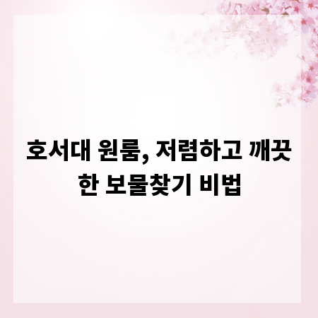 호서대 원룸, 저렴하고 깨끗한 보물찾기 비법