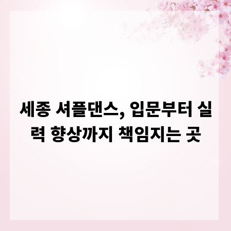 세종 셔플댄스, 입문부터 실력 향상까지 책임지는 곳