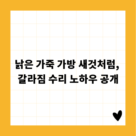낡은 가죽 가방 새것처럼, 갈라짐 수리 노하우 공개