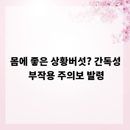 몸에 좋은 상황버섯? 간독성 부작용 주의보 발령