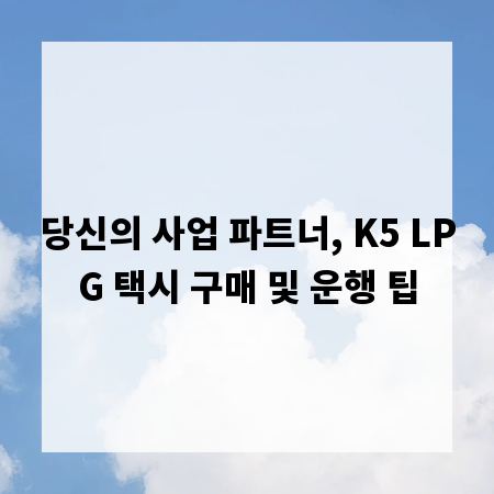 당신의 사업 파트너, K5 LPG 택시 구매 및 운행 팁