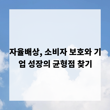 자율배상, 소비자 보호와 기업 성장의 균형점 찾기