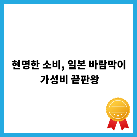 현명한 소비, 일본 바람막이 가성비 끝판왕
