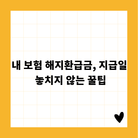 내 보험 해지환급금, 지급일 놓치지 않는 꿀팁