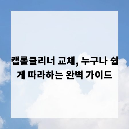 캡롤클리너 교체, 누구나 쉽게 따라하는 완벽 가이드