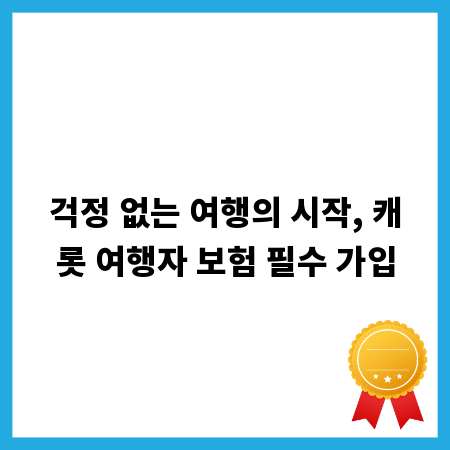 걱정 없는 여행의 시작, 캐롯 여행자 보험 필수 가입