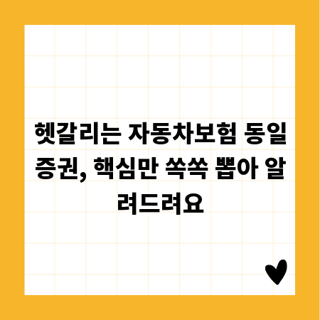 헷갈리는 자동차보험 동일증권, 핵심만 쏙쏙 뽑아 알려드려요