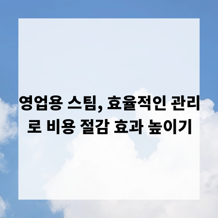 영업용 스팀, 효율적인 관리로 비용 절감 효과 높이기